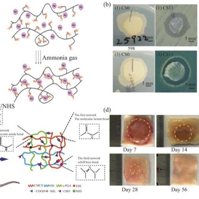 （CSMA-100K）水凝胶/打印墨水/微球