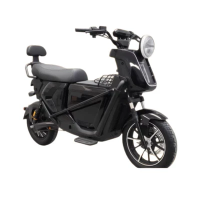 Motorcycles and Electric Vehicles, Elektrikli motosikletlər