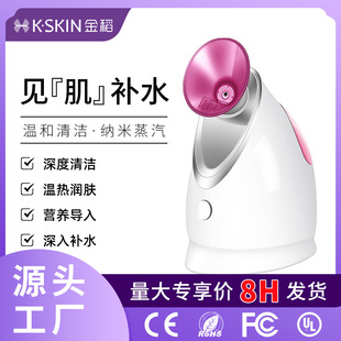 Golden Rice Hot Spray Face Steamer Household Beauty Instrument Nano Spray Hydrating Instrument Wholesale Small Face Steamer Spray Instrument