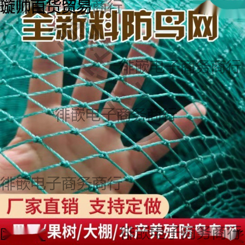 防鸟用网果树樱桃葡萄大棚果园农用防鸟网鱼塘养殖天网尼龙防老化