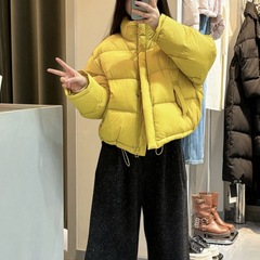 立领短款保暖羽绒服女冬季2025款韩式气质流行爆款小个子面包服