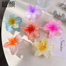 �¿��ɫ�u����ץ�A�������l�AŮ�߼��ЊA�����~�A�l��^��羳