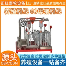 正红畜牧设备 养殖场 60母猪料线 自动料线养猪场料线