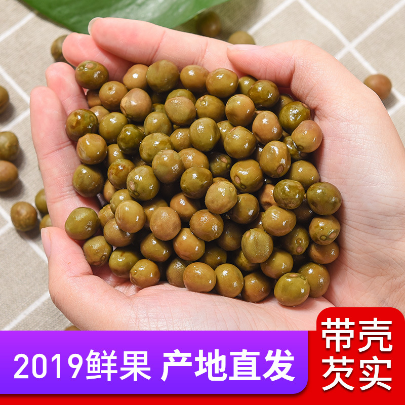Fresh Euryale Seed Qian Shi 500g Bag Large Grade Tianchang Gorgon Fruit for Cooking and Congee overview