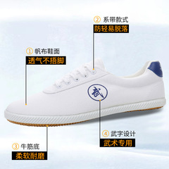 Lutai martial arts shoes, school track and field physical examination training sports shoes, wear-resistant beef tendon soft bottom Tai Chi shoes, breathable canvas shoes