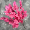 Base rose leaf