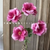 4 butterfly peony