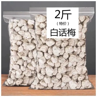 白话梅咸话梅青梅果脯广式咸话梅泡奶茶泡红酒泡雪碧泡茶休闲食品