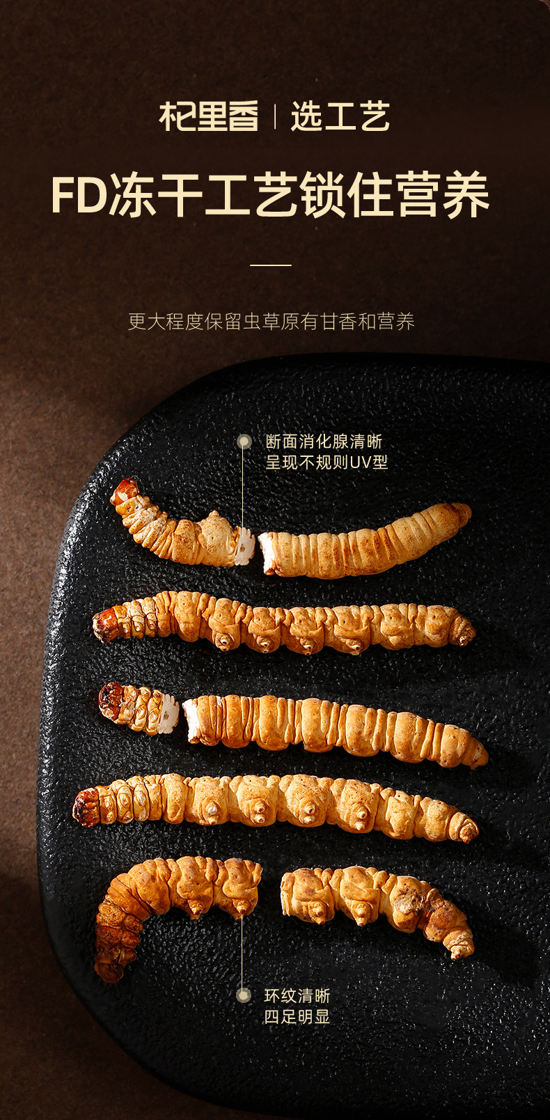 Premium Cordyceps Broken Stems 50g Bottle Dong Chong Xia Cao Qinghai Origin Culinary Herb quality and texture