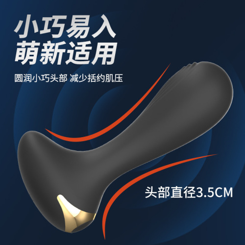 Laile anus silicone plug for men, black silicone vibrating G-spot, masturbation device for adults