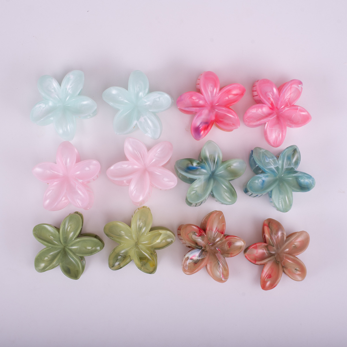 2 바우히니아 혼합 색상