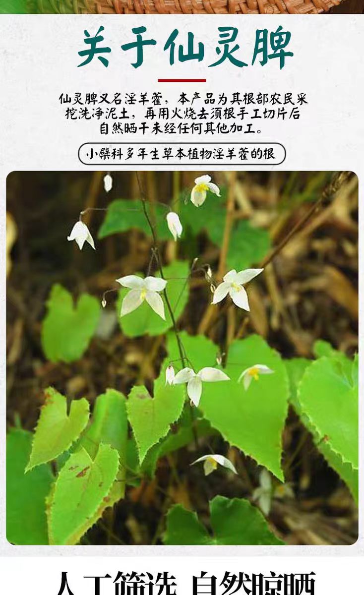 Xian Ling Pi (Epimedium Root) — Dried Yin Yang Huo Herb for Tea & Wine Soaking overview