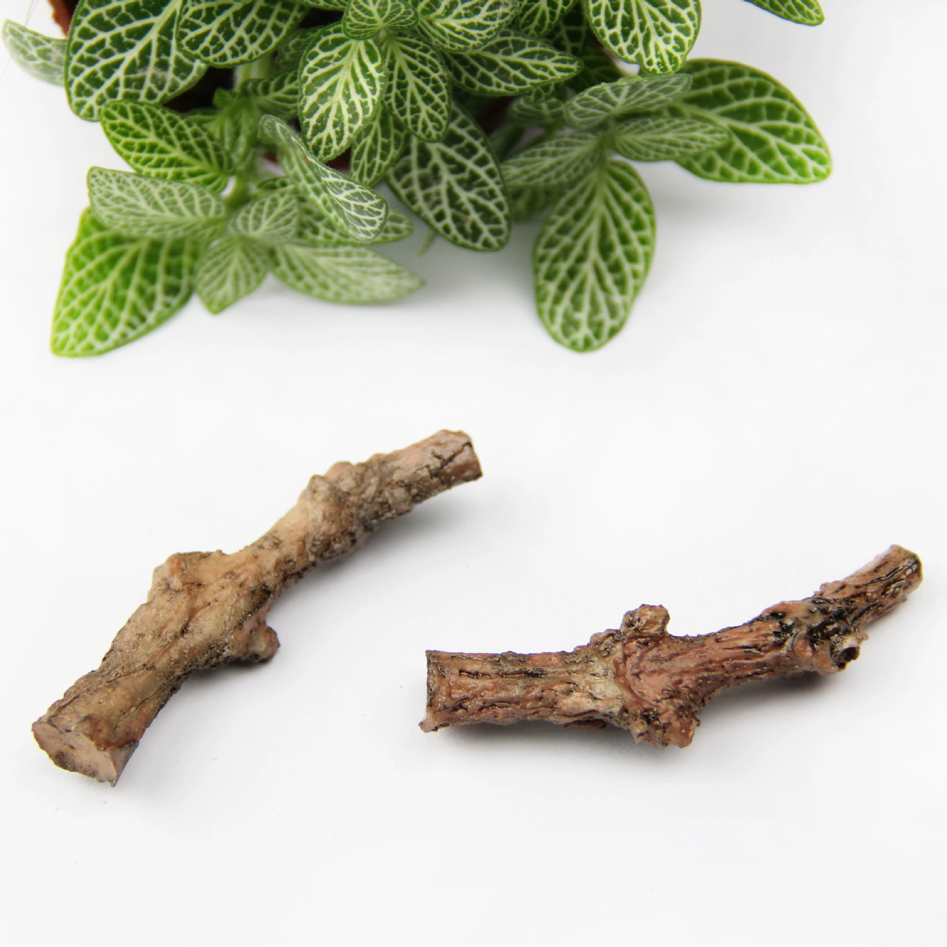 Мосс Микро Пейзаж Ювелирные Изделия Смола Ветвь Мини Мертвая Ветвь DIY Сборка Маленькая Игрушка Орнамент