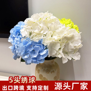 5�^�����c�Y�ù��T����·��������ˇ�Ҿ��b廨�[�����潑��