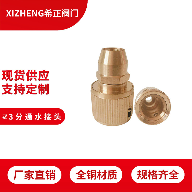 全铜3分通水接 家用高压洗车机接头 水管快速接头厂家直销防水