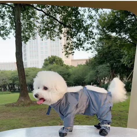 狗狗衣服简约百搭包肚连脚防尘裤外出防水防脏泰迪比熊宠物防尘裤
