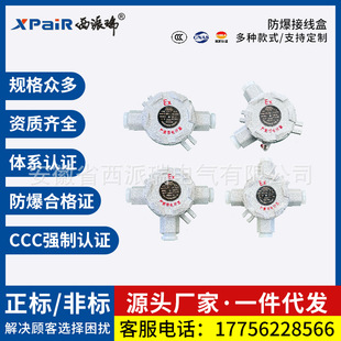 Explosion-Proof Junction Box Cast Aluminum Bhddn20 Four-Way Explosion-Proof Box Junction Box Terminal Box Iic Wire Box