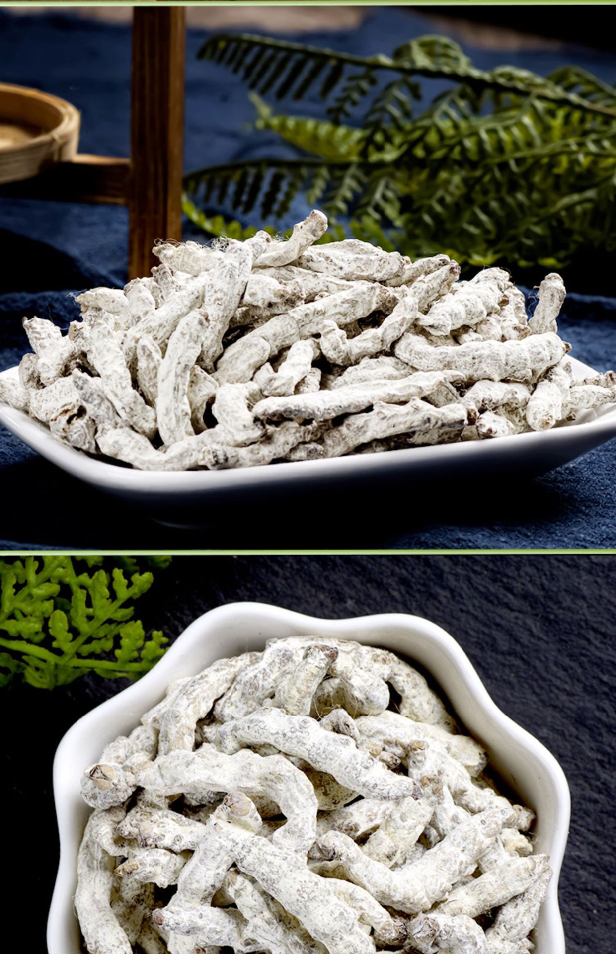 White Silkworm Jiang Can 500g Dried Bombyx Batryticatus Traditional Chinese Herb for Decoction and External Use specifications