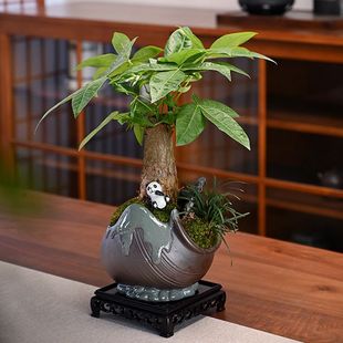 �մɺ��ն��⻨����մ�ڏ��չ޷����Ϙ��Gֲ����������ʽ�M����