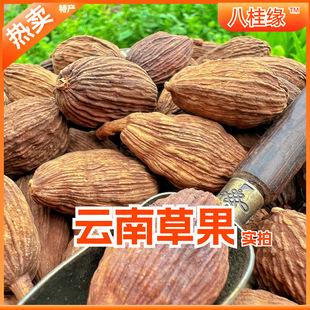 ��ϲݹ����^����ֹ������u������{ζ�������������l��ȫ