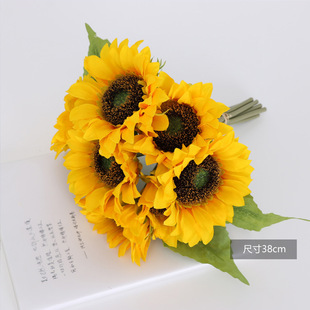 ���滨���տ�̫ꖻ���֦����ϵ�мҾ��b�һ�e�Z�������տ��ٻ���