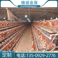批發促銷養殖養雞場雞籠 A字型階梯鍍鋅蛋雞籠 直立式肉雞籠配件