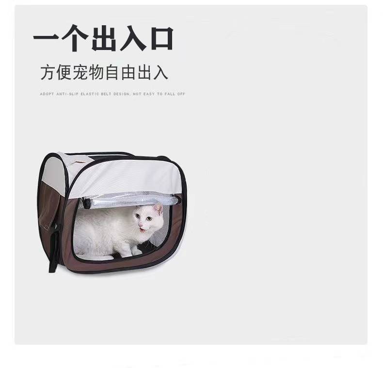 01e3df7a-14fe-4153-92e3-d641459454cd.jpe