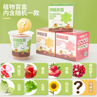 ��ͯ�Nֲֲ��ä��С�����׃��@�W�����I�Y�﹝�նY�����l