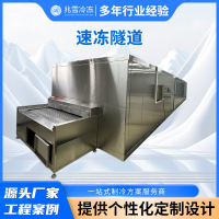 厂家供全自动速冻隧道速冻机海产品连续式速冻设备汤圆冷冻流水线