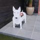 Cross-border exclusive for Amazon pet flowerpot pet shape planting pot foreign trade reinforcement outdoor courtyard cultivation potted plants