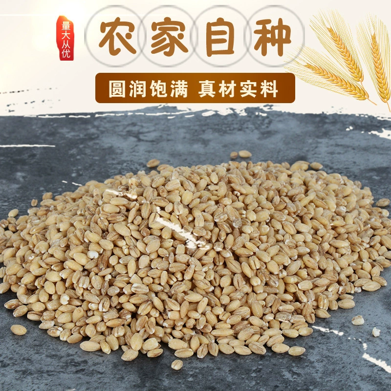 Очистить пшеничное ядро, пшеничный рис, крупное зерно, каша с восемью сокровищами