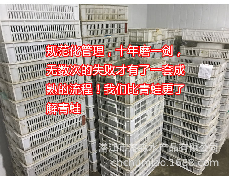 1_04.jpg
