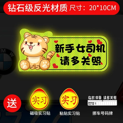 Sticker Magnetic Car Sticker Decorative — Body sticker - strong-magnetic-reflective-tiger-please-take-more-care-gift