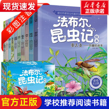 10册6-12岁礼盒装法布尔昆虫记绘本少儿童读物小学生课外阅读书