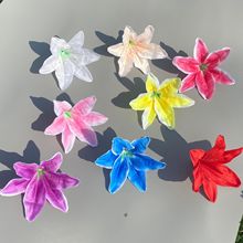 ����ٺϻ��^ 13���׽����ٺ� �c���_�I���@�bٻ����T�ٺ����l