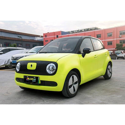 Sales Wholesale Price, Auto Color Change Film - electric-metal-bud-green-152m18m