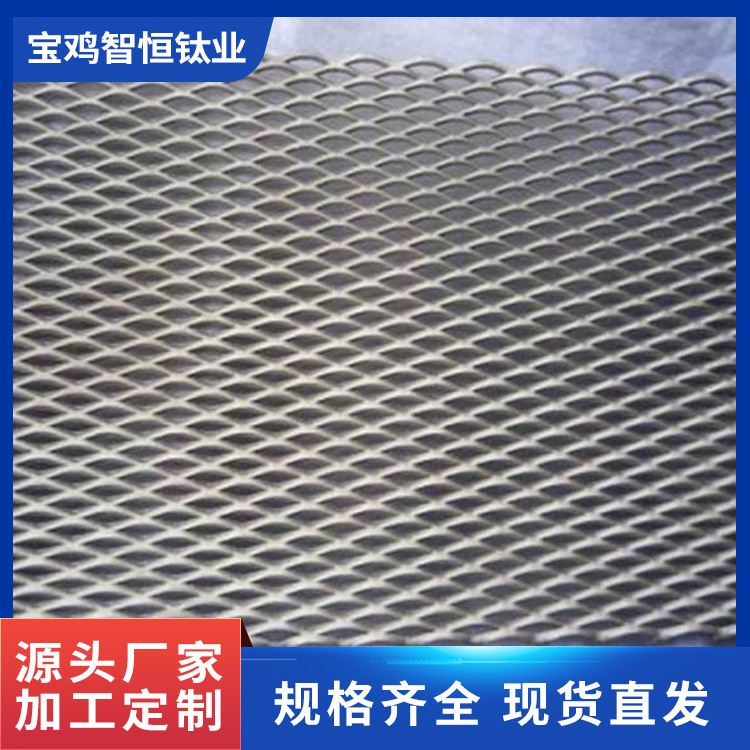 源头厂家 生产加工来图来样 量大从优 钛网 电镀钛篮