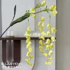 Hanging lily of the lily of