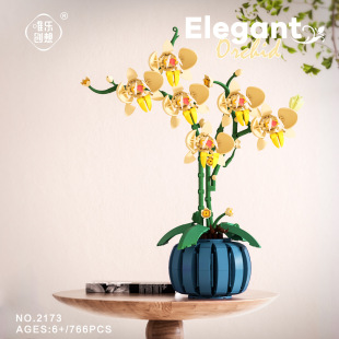 �羳�m�����Է��컨�����ݘ��߷eľ����ƴ�b����[��Ů��������l