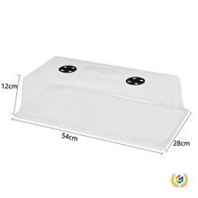 ��ˮ���L����͸���w��32������P�o���бP50Ѩ���B�w�ӱ��񱣜���