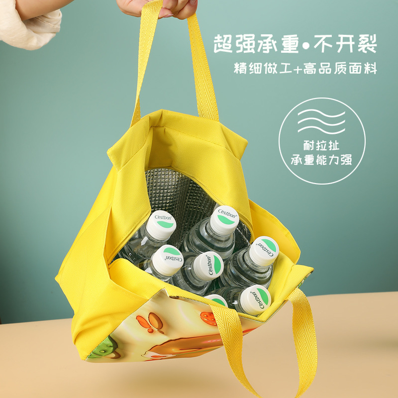 Cartoon doble bolsillo bolsas de aislamiento de mano bolsas de almuerzo de patrón de expansión picnic paquetes de hielo lindos paquetes de almuerzo de bento