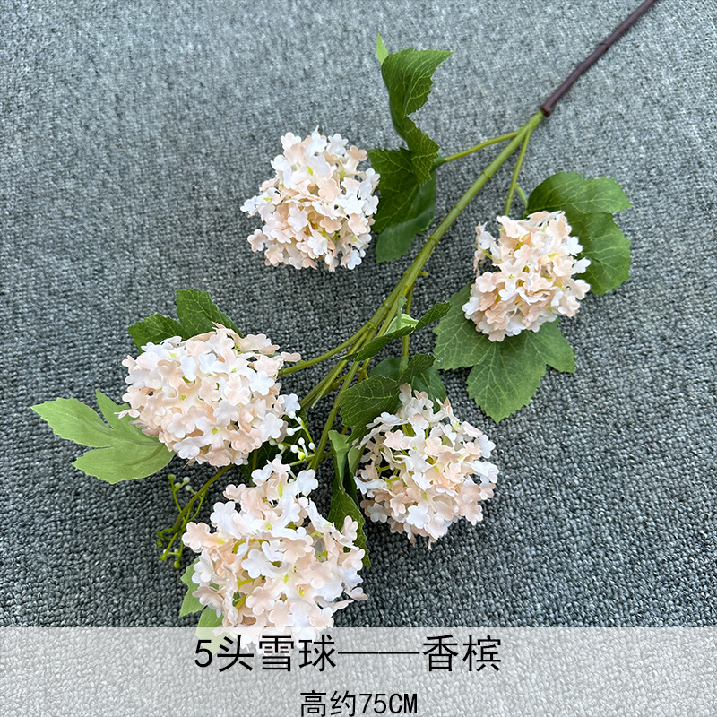 5 bolas de nieve champán