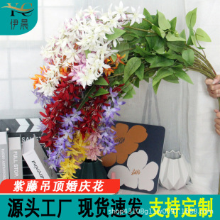 ���ٻ���c�b��̈��L�ȕ�����Y��피��ܴ���������ٻ���c����