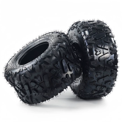 Yolsuzluq şinləri Car Vacuum Tire A
