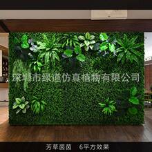 ���������𡿷���ֲ�1ƽ���|�����w����Gֲ���bGɫ�쾰