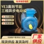 卧式工业立式节能电动机