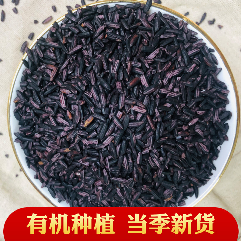 Xinhonghe Organic Purple Rice 500g Northeast Purple Rice Coarse Grain Purple Rice Rice Ball Purple Rice Dew Zongzi Porridge Cooking Ingredient