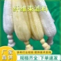 改性除油丙纶纤维束滤料