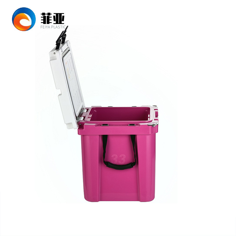 Capacious handheld cooler bag for home use, fruit freezer, custom-made