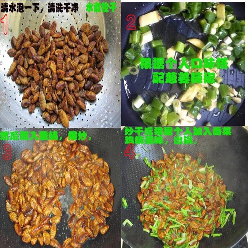 2.5kg 桑蚕蛹農場新鮮で清潔な桑蚕蛹生小さな蚕蛹繭蛹子山東省産蛹蝉冷凍送料無料|undefined